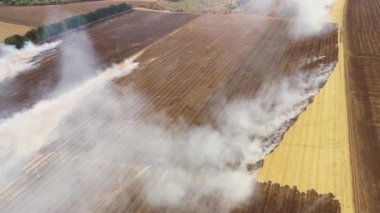 İnsansız hava aracının hasat görüntüsünden sonra bir mısır tarlasında 4k yangını