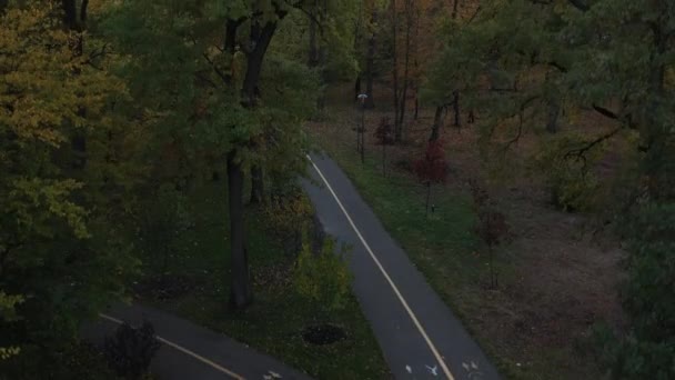 4k Ένα δροσερό πρωινό του φθινοπώρου σε Bucha Central Park — Αρχείο Βίντεο