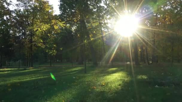 4k Een koele herfstochtend in Bucha Central Park — Stockvideo