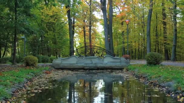 4k Ένα δροσερό πρωινό του φθινοπώρου σε Bucha Central Park — Αρχείο Βίντεο