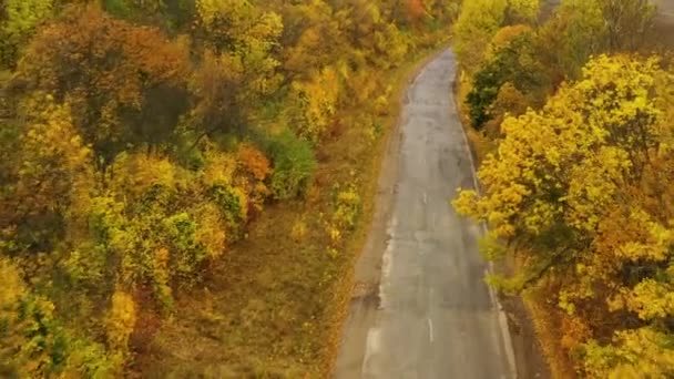 Camino de asfalto en bosque otoñal, vuelo lento y suave con drones. Camino de asfalto en bosque otoñal, vuelo lento y suave con drones. hojas amarillas lamer a cada lado de la carretera . — Vídeo de stock