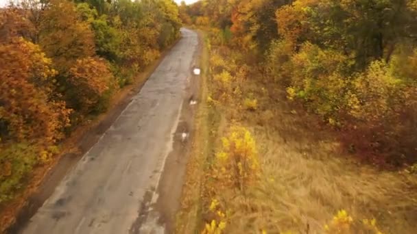 Asphaltstraße im Herbstwald, langsamer, sanfter Drohnenflug. Asphaltstraße im Herbstwald, langsamer, sanfter Drohnenflug. Gelbe Blätter lecken auf beiden Seiten der Straße. — Stockvideo