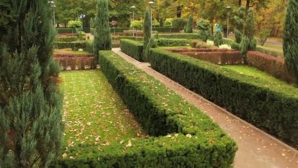4k French garden in central Buchan city park. A masterpiece of topiary art. — Stock Video