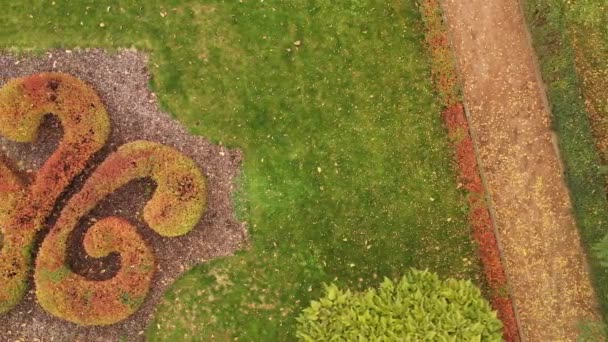 Jardin français 4k dans le parc central de Buchan. Un chef-d'œuvre de l'art topiaire . — Video