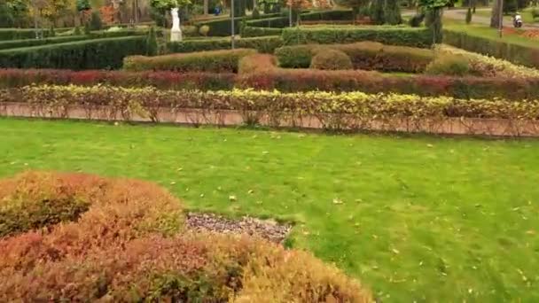 4k French garden in central Buchan city park. A masterpiece of topiary art. — Stock Video