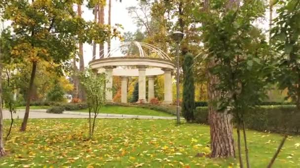 4k fransk trädgård i centrala Buchan stadspark. Ett mästerverk i topiary konst. — Stockvideo