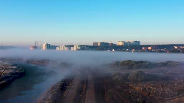 Осеннее морозное туманное утро в парке, вид с беспилотника — стоковое видео