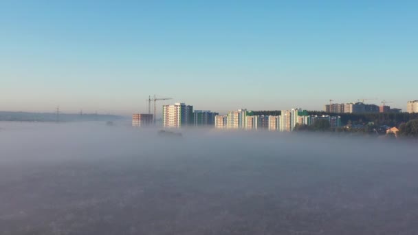 Höstfrostig dimmig morgon i parken, drönarutsikt — Stockvideo