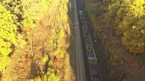 4k vista del dron El tren pasa por el bosque al amanecer, los rayos del sol iluminan la niebla sobre el bosque — Vídeo de stock