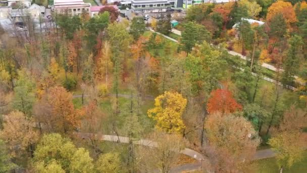 Belas árvores de outono, vermelho amarelo e verde. Voo lento de drone sobre a floresta de outono . — Vídeo de Stock