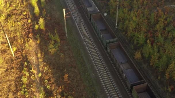 4k вид на дрон Потяг проходить через ліс на світанку, промені сонця освітлюють туман над лісом — стокове відео