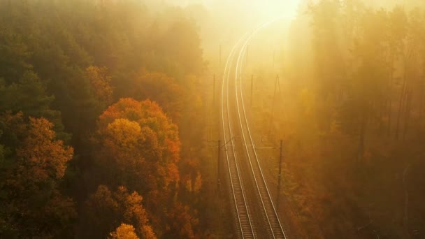 Vuelo lento de un dron sobre un ferrocarril brumoso que pasa a través del bosque otoñal al amanecer . — Vídeos de Stock