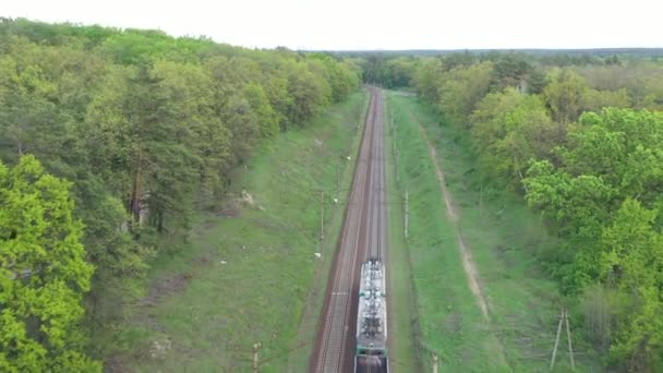 Letecký pohled na nákladní vlak projíždějící lesem při západu slunce. — Stock video