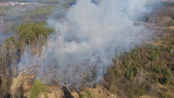 Fuego en el bosque, región de Zhytomyr, Ucrania. Primavera 2020 . — Foto de Stock