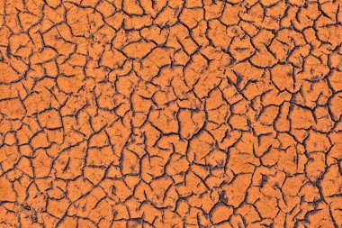 Küresel ısınmanın güneşten çatlamış toprak üzerindeki etkisi ve tüm hayvan ve bitki örtüsünün kaybı..