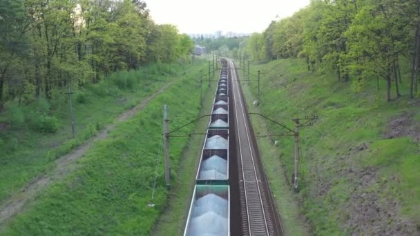 Widok z lotu ptaka na pociąg towarowy jadący przez las o zachodzie słońca. — Wideo stockowe