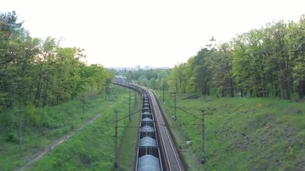 Widok z lotu ptaka na pociąg towarowy jadący przez las o zachodzie słońca. — Wideo stockowe