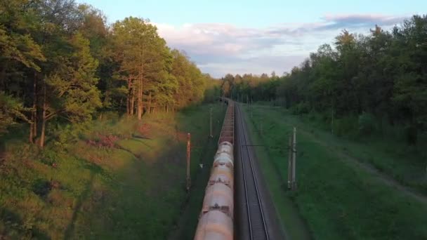 Letecký pohled na nákladní vlak projíždějící lesem při západu slunce. — Stock video