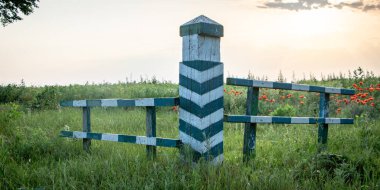 Yeşil çimenlerin arka planında, bezelyelerle, sahada ahşap iz sütunları var.