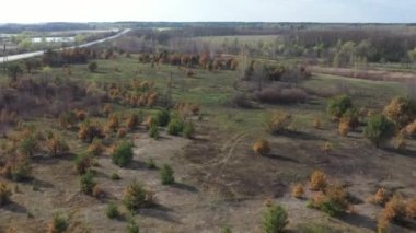 Zhytomyr bölgesindeki orman tahribatının ve orman yangınlarının hava görüntüsü.