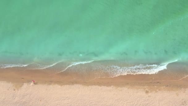 Tropical caribbean beach. A popular tourist destination. — Stock Video