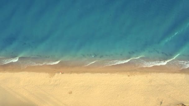 Czysta plaża z błękitną wodą, widok z powietrza. — Wideo stockowe