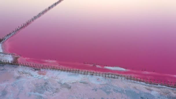 Lago rosa, argilla curativa e sale. Vista aerea — Video Stock