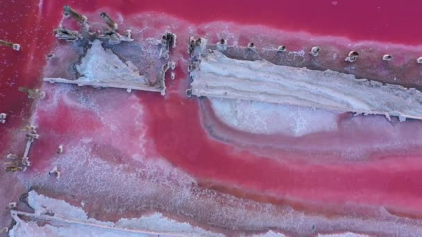 Pink lake, healing clay and salt. Aerial view — Stock Video