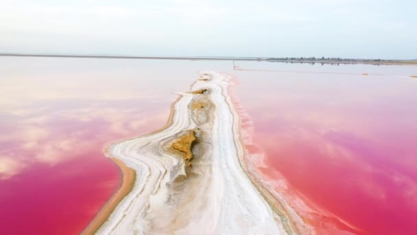 Pink lake, healing clay and salt. Aerial view — Stock Video