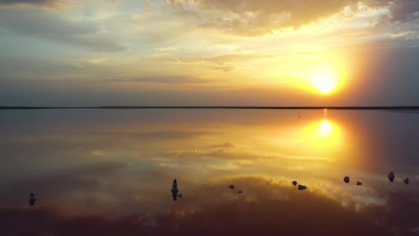 Coucher de soleil sur le lac rose. Réflexion dans l'eau. — Video