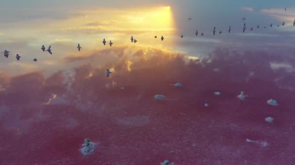 Puesta de sol en el lago rosa. Reflexión en el agua. — Vídeos de Stock