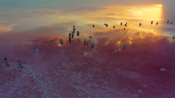 Zachód słońca na różowym jeziorze. Refleksja w wodzie. — Wideo stockowe