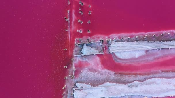 Рожеве озеро, цілюща глина та сіль. Вид з повітря — стокове відео
