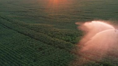 Drone görünümünde otomatik sulama sistemi