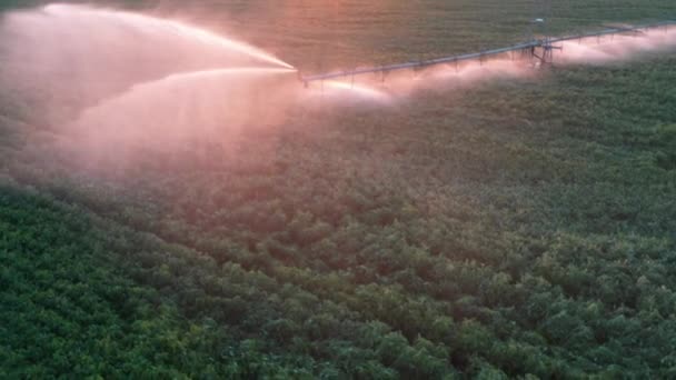 Système d'arrosage automatique sur le terrain Vue par drone — Video