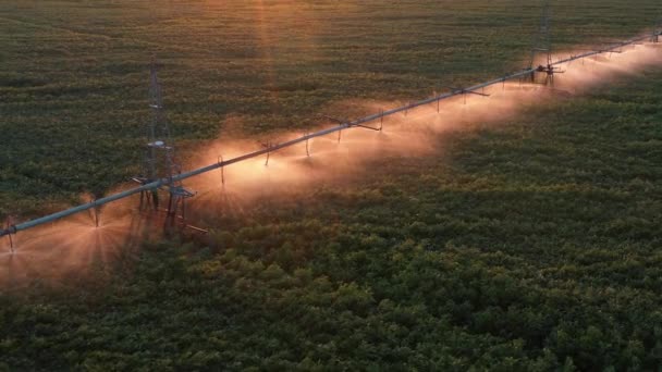 Automatisches Bewässerungssystem im Feld Drone view — Stockvideo