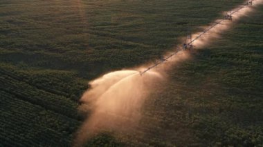 Drone görünümünde otomatik sulama sistemi