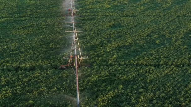 Système d'arrosage automatique sur le terrain Vue par drone — Video