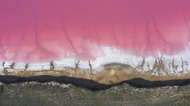 Pembe göl, iyileştirici kil ve tuz. Hava görünümü