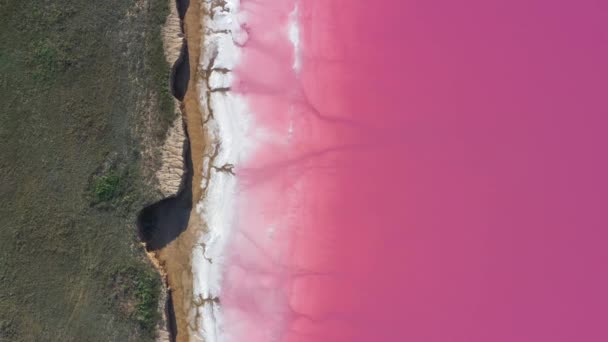 Lago rosa, argila de cura e sal. Vista aérea — Vídeo de Stock