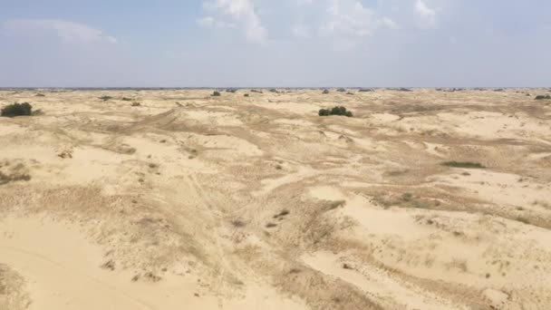 Lot nad pustynią w rezerwacie "Oleskie piaski" z roślinnością. — Wideo stockowe