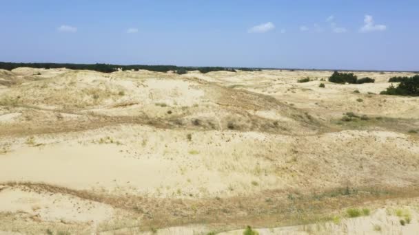 Flug über die Wüste im Reservat "Olesky sands" mit etwas Vegetation. — Stockvideo