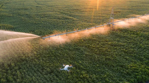 Wykorzystanie Drona Monitorowania Pracy Rolnictwie Stan Pól Quadcopter Obserwuje Działanie — Zdjęcie stockowe