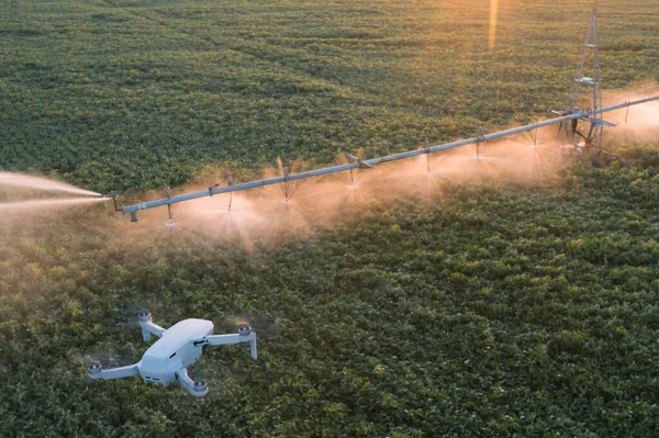 Uso Dron Para Monitorear Trabajo Agrícola Estado Los Campos Quadcopter — Foto de Stock