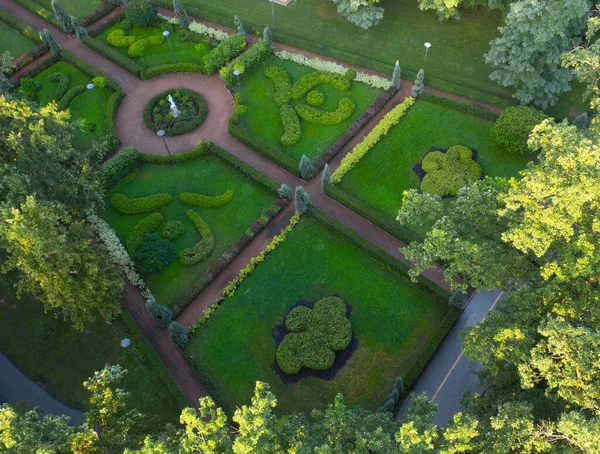 Fransız Tarzı Bahçe Hava Manzarası Bucha Şehri Central Park — Stok fotoğraf