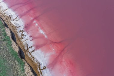 Pembe Göl 'ün tuzlu kıyıları. Turistik bölge. Gül suyu ve kir iyileştirici özelliklere sahiptir. Doğal arkaplan veya doku.