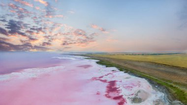Pembe Göl 'ün tuzlu kıyıları. Turistik bölge. Gül suyu ve kir iyileştirici özelliklere sahiptir. Doğal arkaplan veya doku.