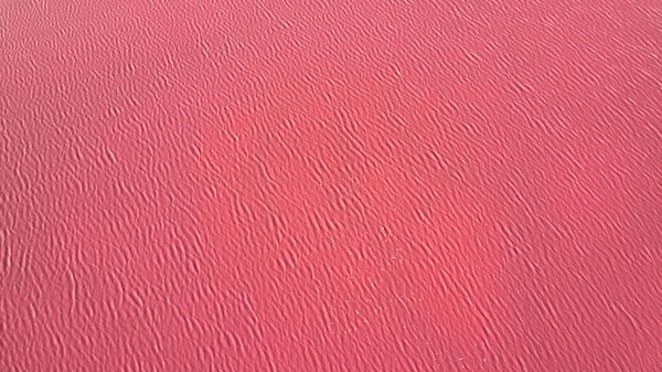 Acqua Lago Rosa Texture Dipinta Con Microalghe Dunaliella Salina Prezioso — Foto Stock