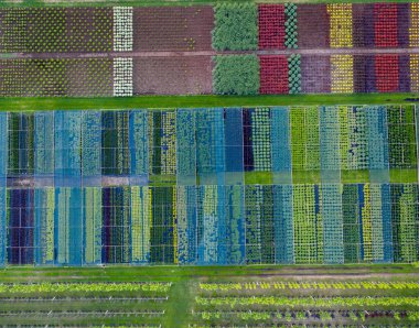 Bahçe düzenlemek için geniş bir yelpazede süs bitkisi satan bir dükkan. İHA görüntüsü. Geniş kozalaklı, yaprak döken ve çiçek açan bitkiler..