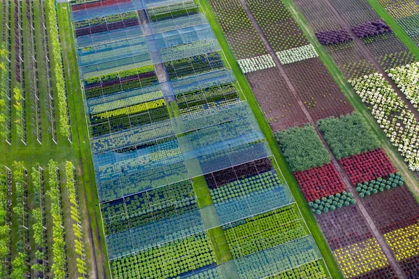 Loja Com Uma Ampla Gama Plantas Ornamentais Para Paisagismo Vista — Fotografia de Stock